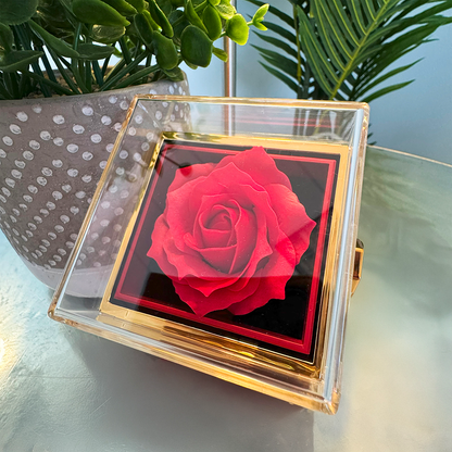 Nexite Love Knot Necklace with Rotating Rose Gift Box – A Symbol of Endless Love for Your Wife